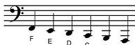 Bass Notes