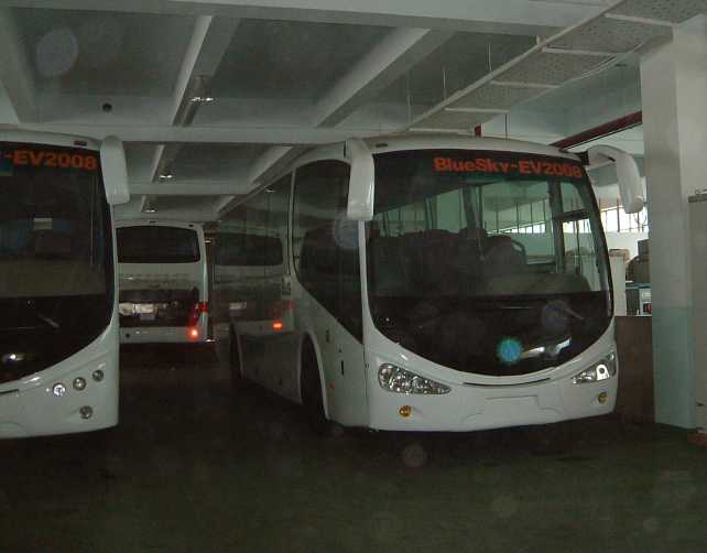 TS Electric Buses